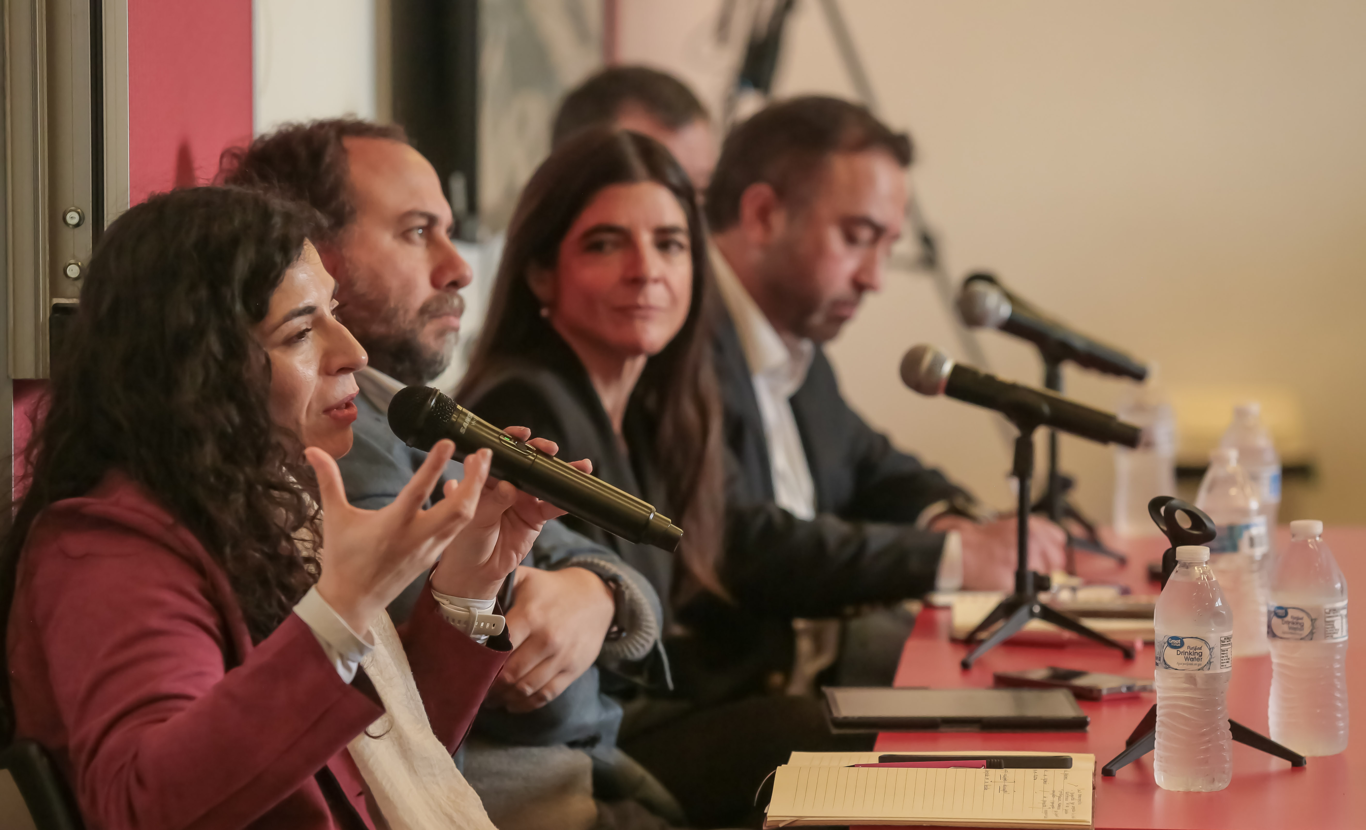 Análisis político y académico